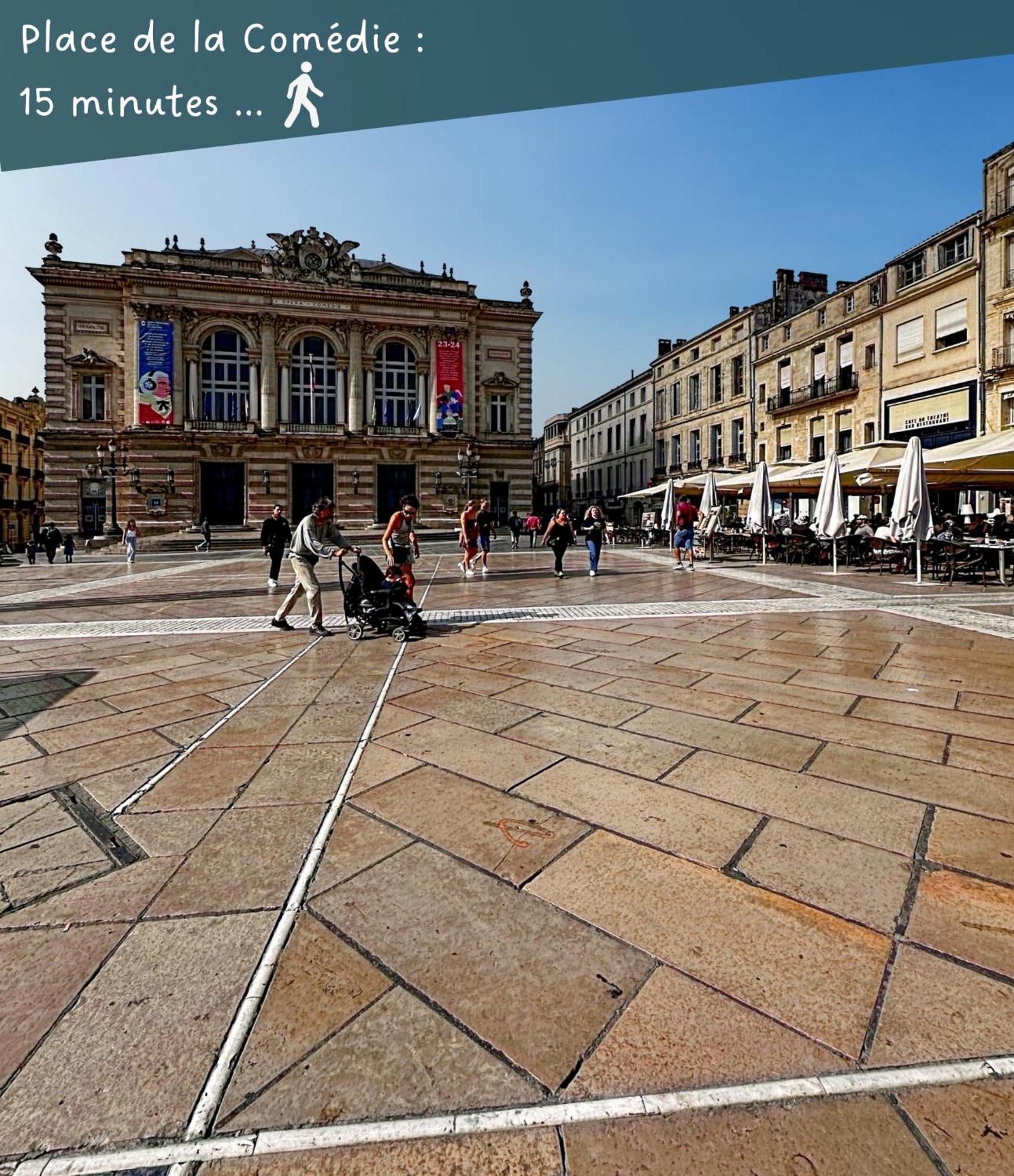 Appartement Entier Cosy Avec Balcon - Centre Montpellier Luaran gambar