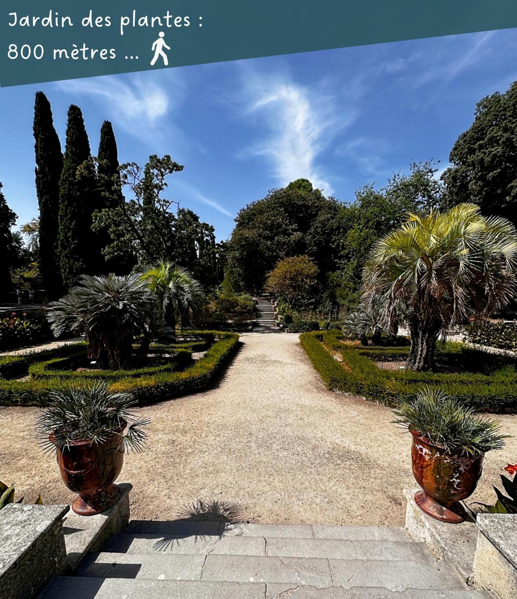 Appartement Entier Cosy Avec Balcon - Centre Montpellier Luaran gambar
